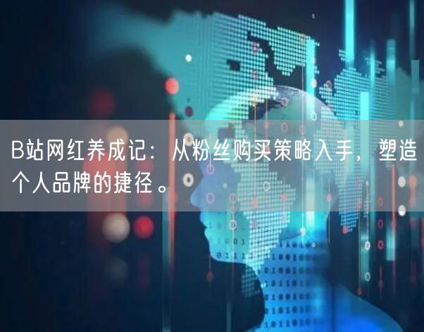 B站网红养成记：从粉丝购买策略入手，塑造个人品牌的捷径。