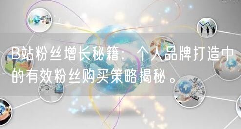 B站粉丝增长秘籍：个人品牌打造中的有效粉丝购买策略揭秘。
