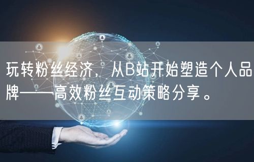 玩转粉丝经济，从B站开始塑造个人品牌——高效粉丝互动策略分享。