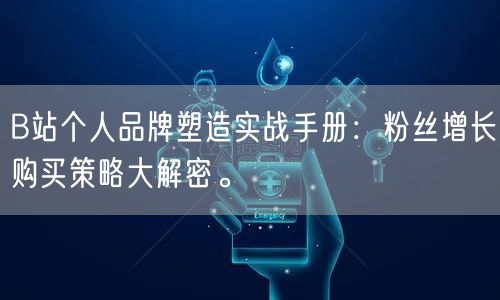 B站个人品牌塑造实战手册：粉丝增长购买策略大解密。