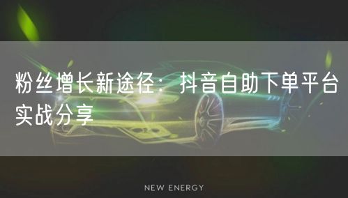 粉丝增长新途径：抖音自助下单平台实战分享