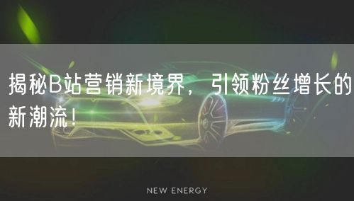 揭秘B站营销新境界，引领粉丝增长的新潮流！