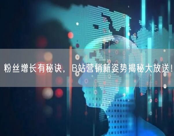粉丝增长有秘诀，B站营销新姿势揭秘大放送！