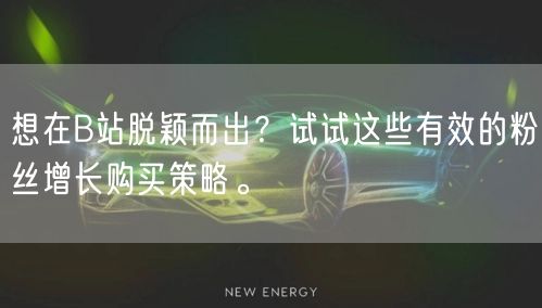 想在B站脱颖而出？试试这些有效的粉丝增长购买策略。