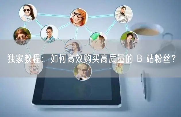 独家教程：如何高效购买高质量的 B 站粉丝？