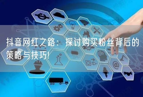 抖音网红之路：探讨购买粉丝背后的策略与技巧!