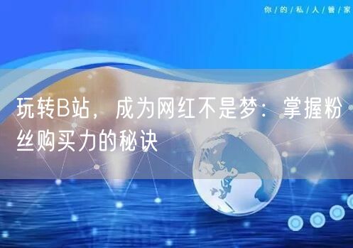 玩转B站，成为网红不是梦：掌握粉丝购买力的秘诀