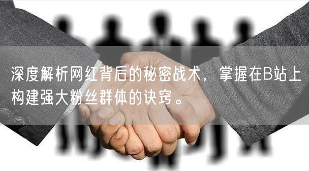 深度解析网红背后的秘密战术，掌握在B站上构建强大粉丝群体的诀窍。