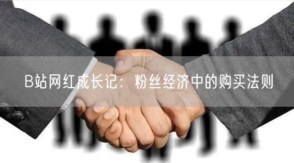 B站网红成长记：粉丝经济中的购买法则