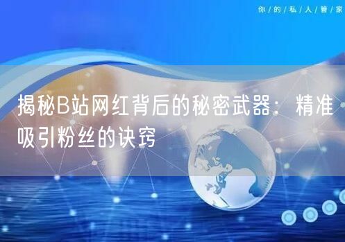 揭秘B站网红背后的秘密武器：精准吸引粉丝的诀窍
