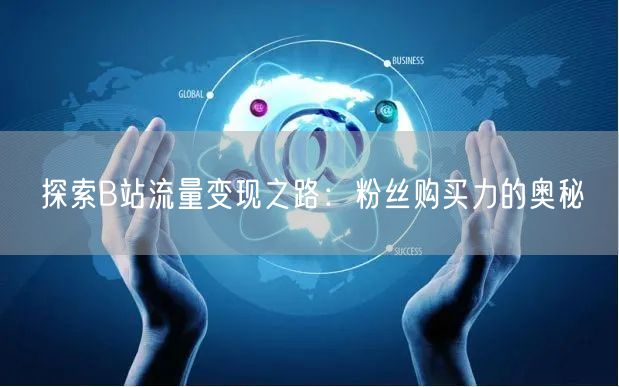 探索B站流量变现之路：粉丝购买力的奥秘