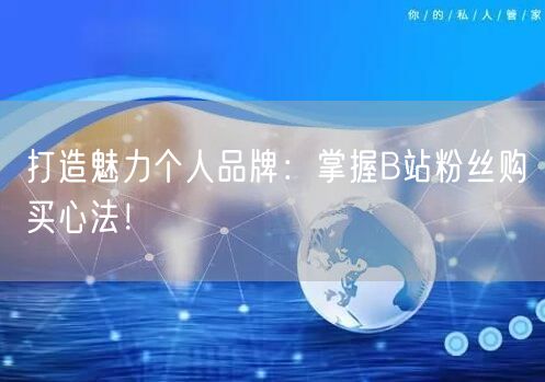 打造魅力个人品牌：掌握B站粉丝购买心法！