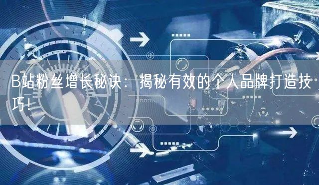 B站粉丝增长秘诀：揭秘有效的个人品牌打造技巧！