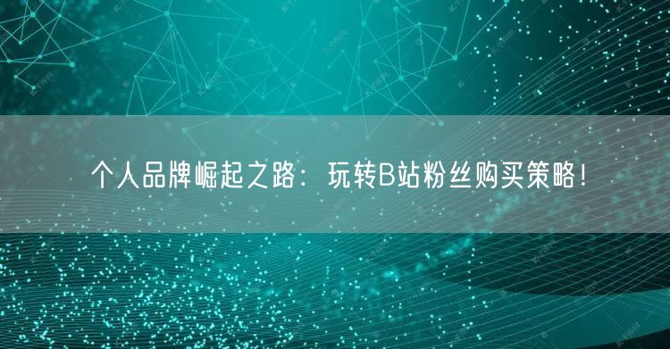 个人品牌崛起之路：玩转B站粉丝购买策略！