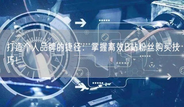 打造个人品牌的捷径：掌握高效B站粉丝购买技巧！