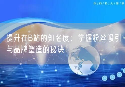 提升在B站的知名度：掌握粉丝吸引与品牌塑造的秘诀！