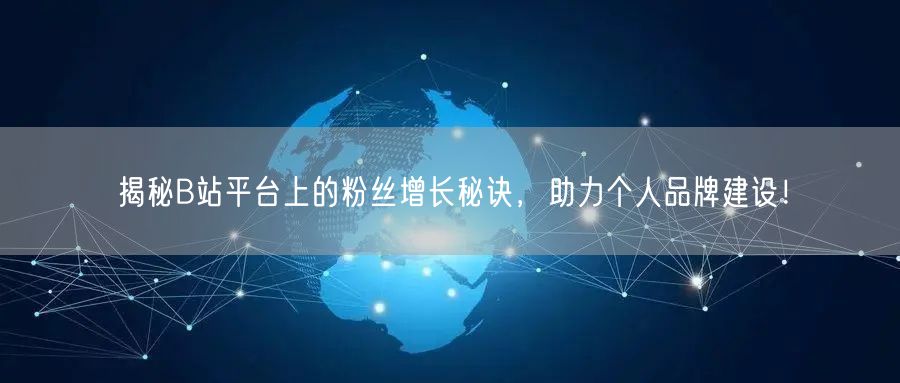 揭秘B站平台上的粉丝增长秘诀，助力个人品牌建设！