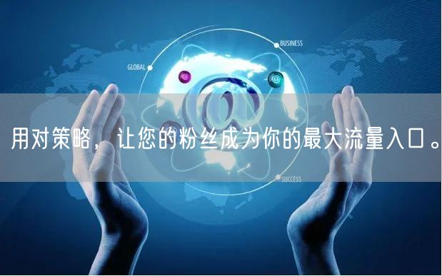 用对策略，让您的粉丝成为你的最大流量入口。