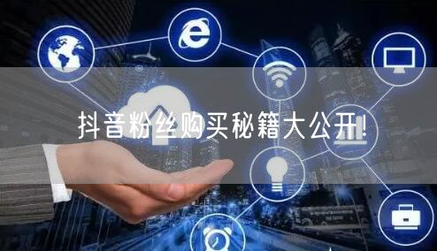 抖音粉丝购买秘籍大公开！