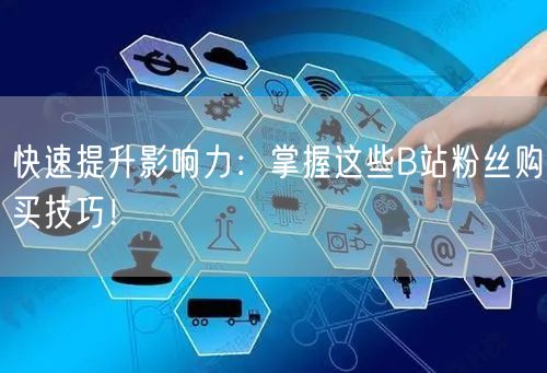 快速提升影响力：掌握这些B站粉丝购买技巧！