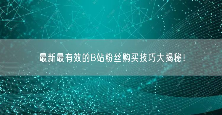 最新最有效的B站粉丝购买技巧大揭秘！