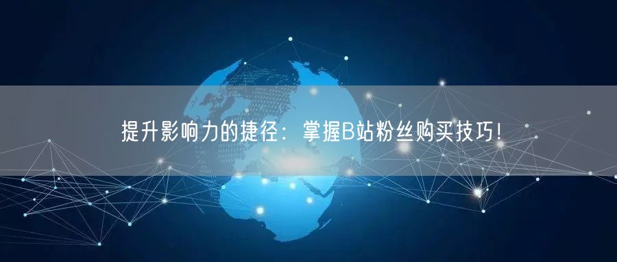 提升影响力的捷径：掌握B站粉丝购买技巧！