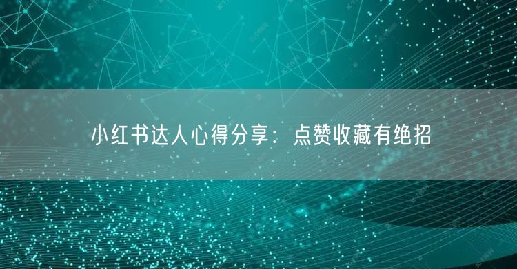 小红书达人心得分享：点赞收藏有绝招