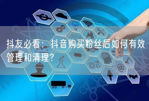 抖友必看：抖音购买粉丝后如何有效管理和清理？
