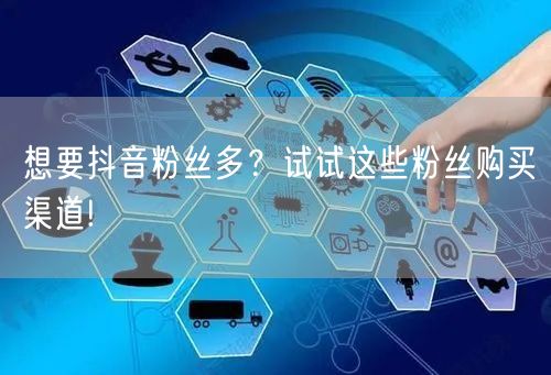 想要抖音粉丝多？试试这些粉丝购买渠道!