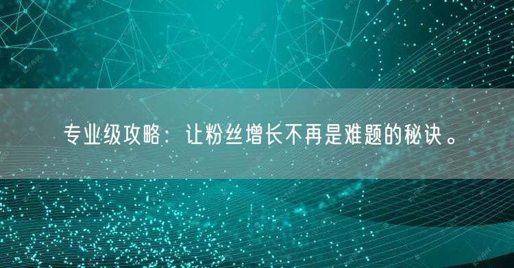 专业级攻略：让粉丝增长不再是难题的秘诀。