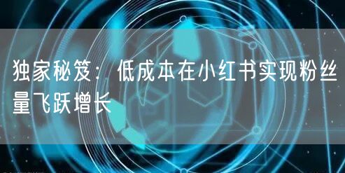 独家秘笈：低成本在小红书实现粉丝量飞跃增长