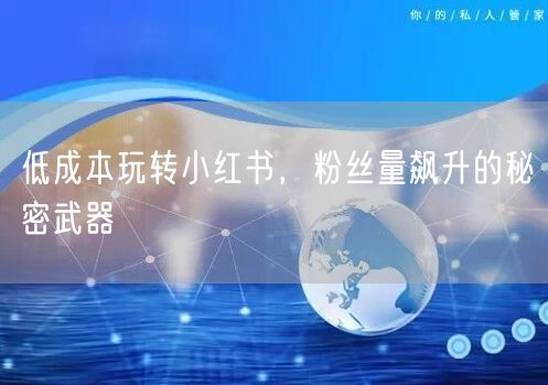 低成本玩转小红书，粉丝量飙升的秘密武器