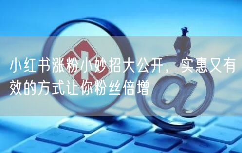 小红书涨粉小妙招大公开，实惠又有效的方式让你粉丝倍增