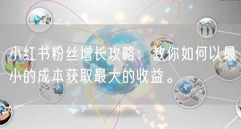 小红书粉丝增长攻略：教你如何以最小的成本获取最大的收益。