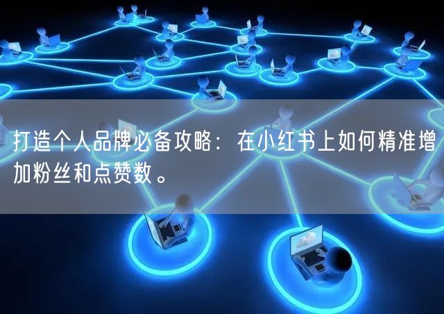 打造个人品牌必备攻略：在小红书上如何精准增加粉丝和点赞数。