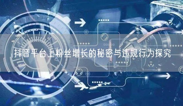 抖音平台上粉丝增长的秘密与违规行为探究