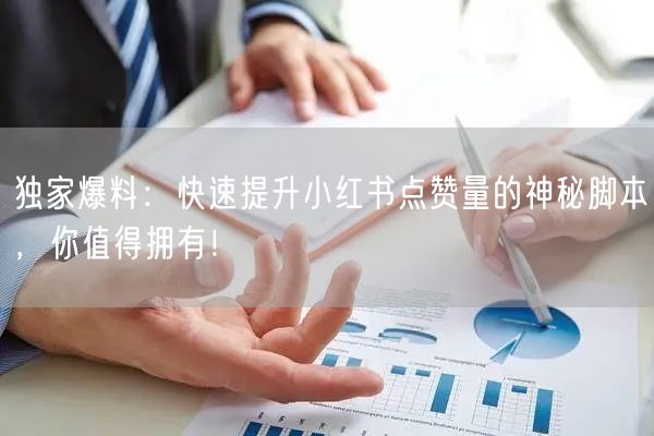 独家爆料：快速提升小红书点赞量的神秘脚本，你值得拥有！