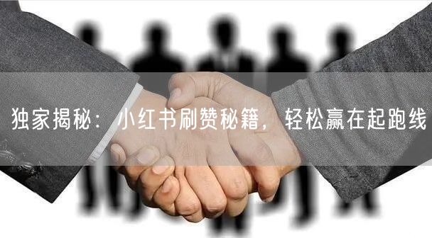 独家揭秘：小红书刷赞秘籍，轻松赢在起跑线
