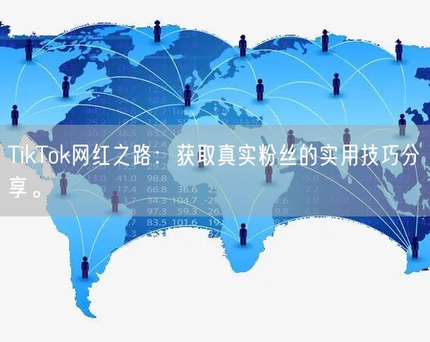 TikTok网红之路：获取真实粉丝的实用技巧分享。